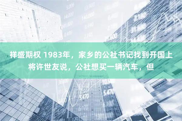 祥盛期权 1983年，家乡的公社书记找到开国上将许世友说，公社想买一辆汽车，但
